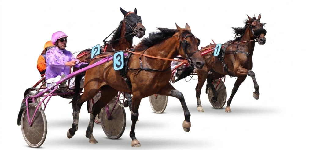 horseAgents1264x609